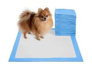 Puppy Training Pads Market Size, Key Players & Forecast Report