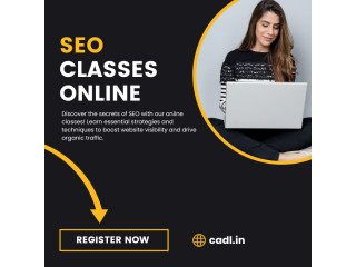 SEO Classes Online In Zirakpur (CADL)
