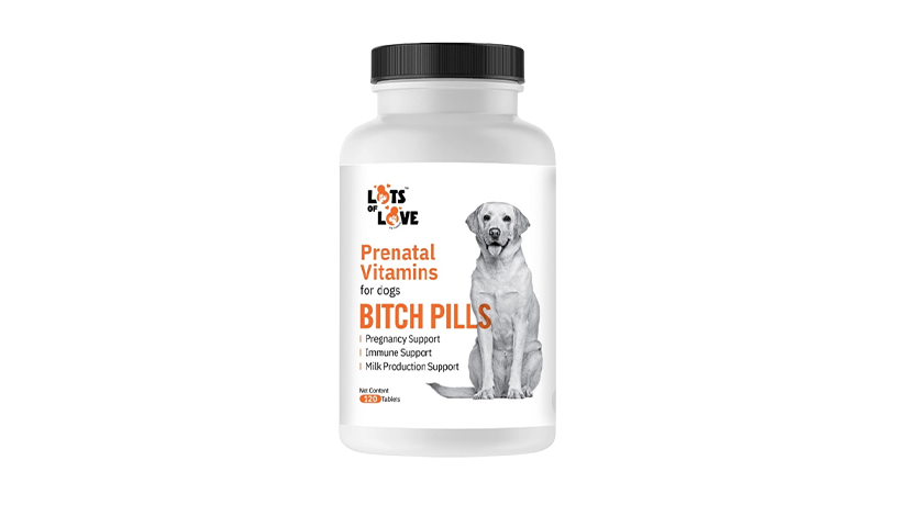 prenatals-for-dogs-big-0
