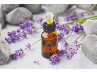 What Are The Health Benefits Of Lavender?