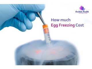 Explore Egg Freezing Costs in Bangalore with Orchidz Health