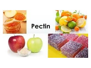 Global Fruit Pectin Market Report, Latest Trends, Industry Opportunity & Forecast