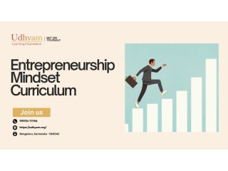 The Entrepreneur's Journey: Entrepreneurship Mindset Curriculum
