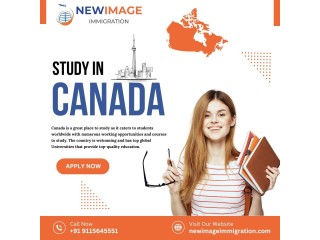 New Image Immigration, Your Trusted Canada Study Visa Consultant in Jalandhar