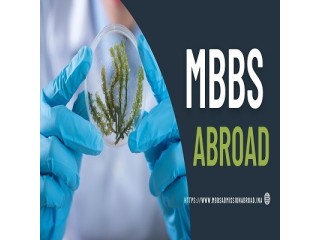 Embark on a Global Medical Journey: Pursue MBBS Abroad
