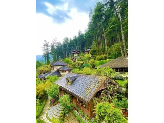 How to Find Affordable Accommodations in Kasol