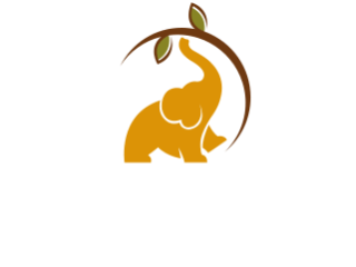 Balance Ayurveda Centre and Spa