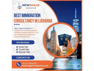 Looking for the Best Immigration Consultancy in Ludhiana?