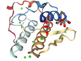 Phospholipase Enzyme Market Report: Latest Industry Outlook & Current Trends 2023 to 2032