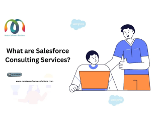 What are Salesforce Consulting Services?