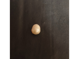 Natural Keshi Pearl 2.22 Ct