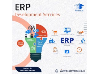 The Comprehensive Guide to ERP Development Services