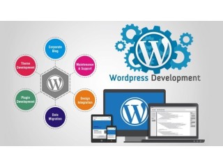 Website designing and development company in Chandigarh
