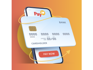 Flexible Transactions with Pay10's Pay10 Payment Link