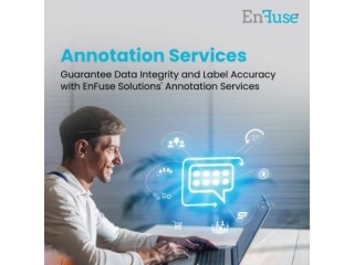 Guarantee Label Accuracy with EnFuse Solutions' Annotation Services