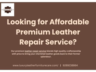 Looking for Affordable Premium Leather Repair Service?