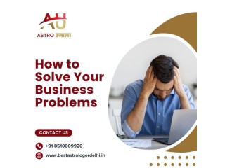 How to Solve Business Problems with Best Astrologer in Delhi