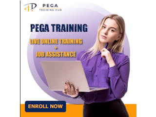 Pega Online Training in Ameerpet