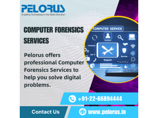 Computer Forensics | Computer Forensics Services