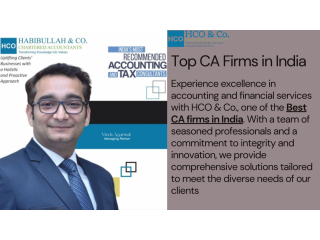 HCO & Co.: Leading the Way Among the Best CA Firms in India