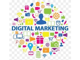 Choose the Best Digital Marketing Agency in Delhi NCR __!