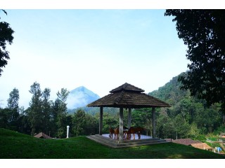 Why Are Homestays Better While You Are On A Vacation Or Workcation? - Misty Peaks Homestay