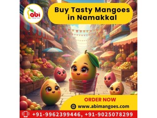 Best Online Mangoes Seller in Namakkal by Abi Mangoes