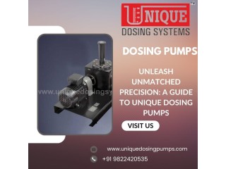 Unleash Unmatched Precision: A Guide to Unique Dosing Pumps