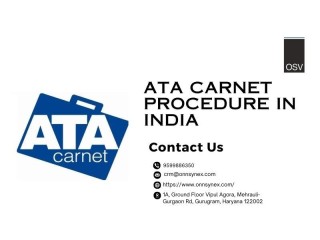 Mastering the ATA Carnet Procedure in India
