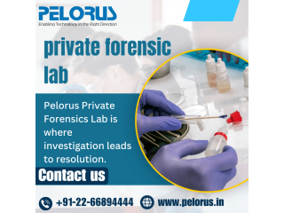 Pelorus | Private forensic lab