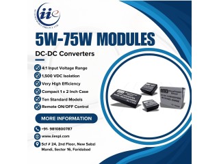 DC DC Converters Supplier - IIEPSL