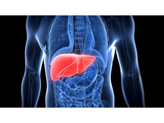 SGPT Test: Monitoring Liver Health and Function