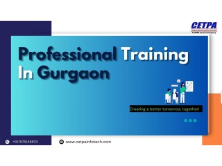 Achieve Excellence: Professional Training Workshops in Gurgaon