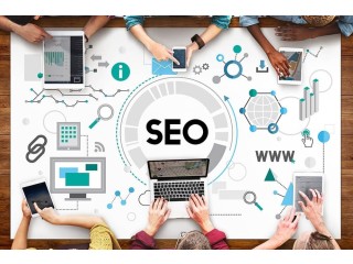 Choose the Best SEO Company in South Delhi