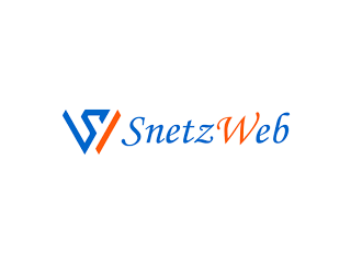 Best web development company | SnetzWeb
