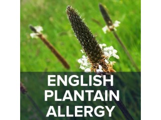 Allergen - English Plantain Test by Agilus Diagnostics