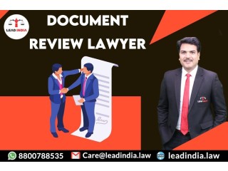 Top document review lawyer