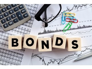 Borrow Responsibly: Using Bonds for Low-Interest Loans