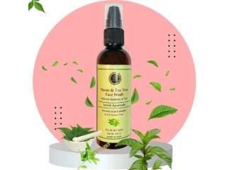 Natural Beauty Solutions - Ayurvedic Products for Skincare