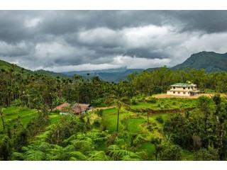 Enchanting Kerala: A 6-Day Romantic Getaway