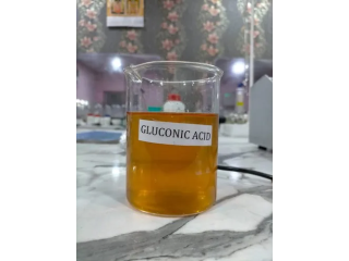 Gluconic Acid Market Size, Growth & Industry Analysis Report, 2032