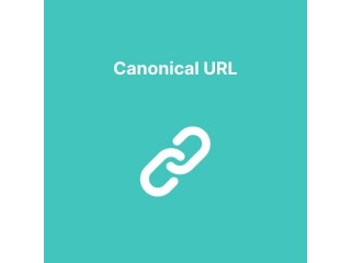 Boost Your SEO Strength with Magento 2 Canonical URL Extension