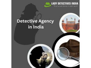 Nationwide Network or Local Expertise? Choosing the Right Detective Agency in India