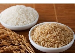 Packaged Basmati Rice Market Size, Share, Regional Overview and Global Forecast