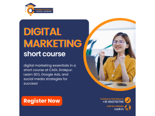 Digital Marketing Short Course In Zirakpur (CADL)