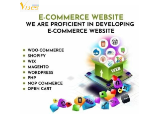 The Role of Social Media in Boosting E-Commerce Sales in Delhi NCR