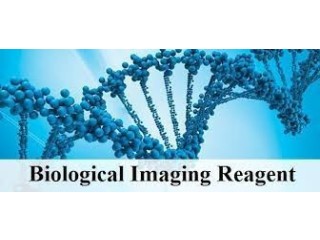 Biological Imaging Reagents Market 2023: Global Forecast to 2032