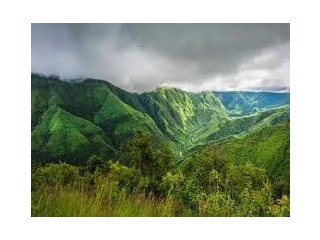 Explore the Enchanting Meghalaya with Wanderon's Tour Packages!