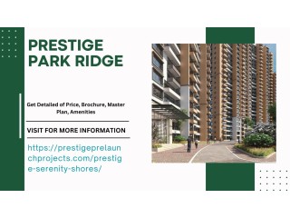 Prestige Park Ridge's Exclusive Improve Your Life: The City Residence