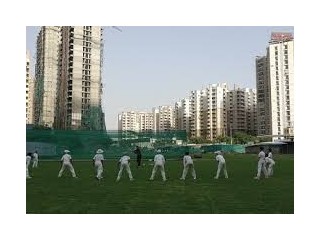 Best Cricket Academies in Greater Noida